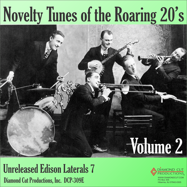 NoveltyTunes2Sm Novelty Tunes of the Roaring 20s, Volume 2